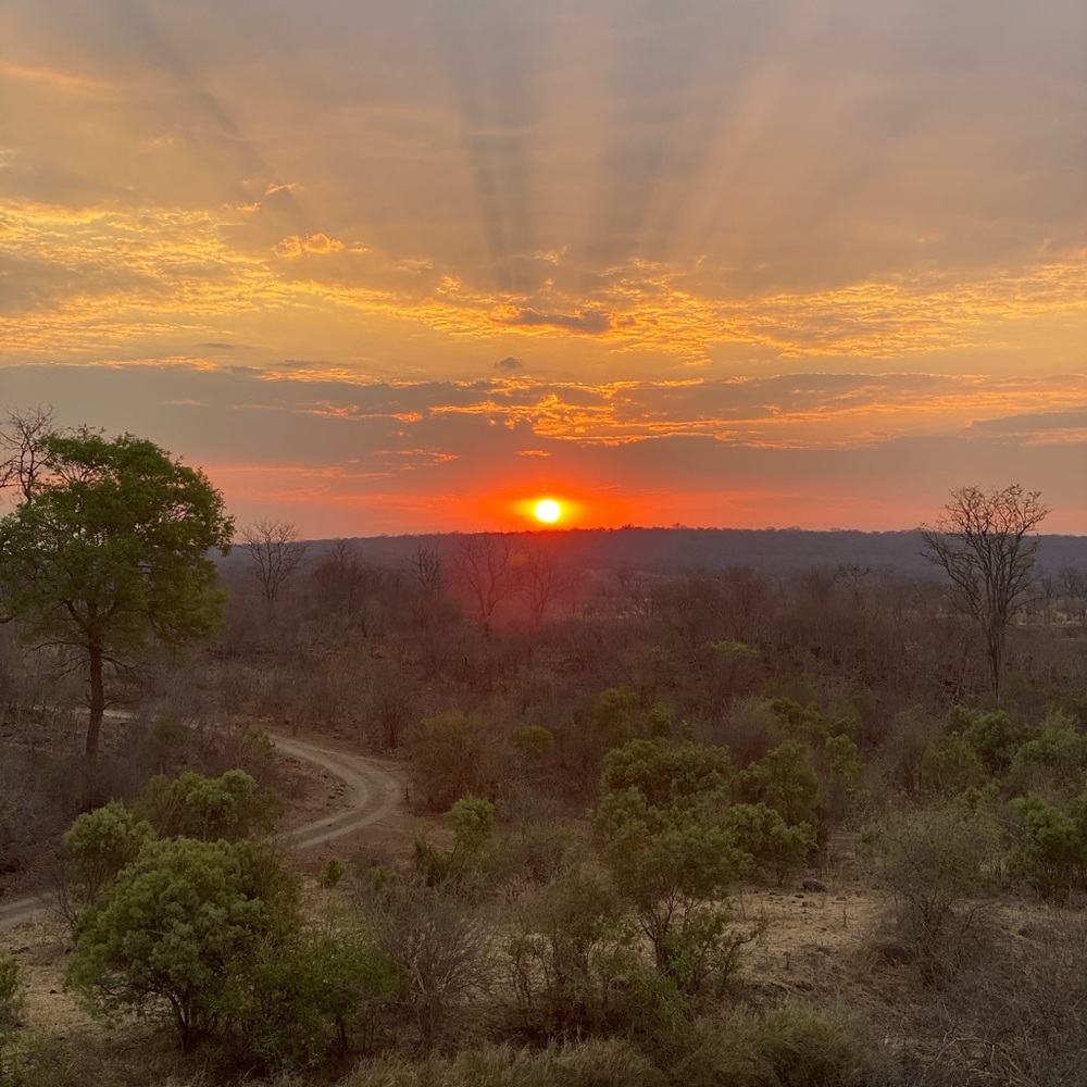 Meet your Posher, Nellie